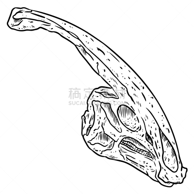 草图,绘画插图,恐龙,图像,副栉龙,鸭子,喙,动物手,线条,绘制