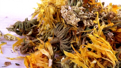 金盏花