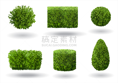 华丽的,植物群,环境,刺柏属丛木,公园,云杉,植物,美国崖柏属树,黄杨木,石头