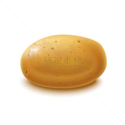 马铃薯,完整,三维图形,农业,蔬菜,素食,清新,食品,写实,烹调