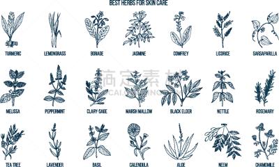 草本,生物学,有机食品,自然,药,润唇膜,图像,茉莉,迷迭香,收集