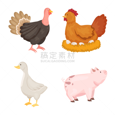 食品,农场,图标集,可爱的,农业,复活节,加拿大,传统节日,猪,动物