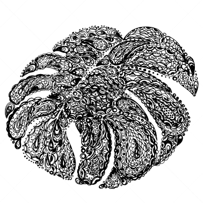 螺旋花纹呢,时尚,叶子,干酪藤,夏天,白色,绿色,图像,矢量,抽象