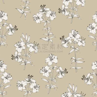 百合花,四方连续纹样,华丽的,壁纸,植物群,现代,凌乱,春天,花,复古