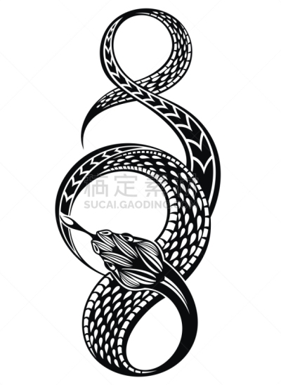 蛇,剪影,绘画插图,怪异,背景分离,野生动物,动物,装饰物,蝰蛇,爬行纲