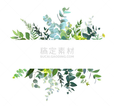 矢量,水平画幅,植物学,请柬,线条,贺卡,水彩画颜料,背景分离,设计