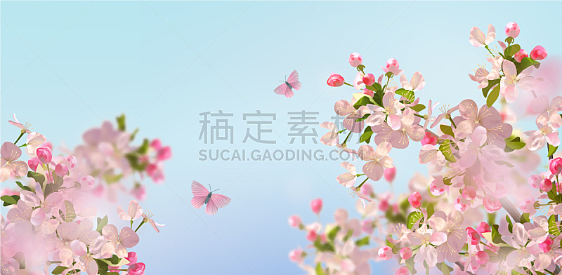 春天,樱桃树,植物,自然,华丽的,运动模糊,季节,粉色,浪漫