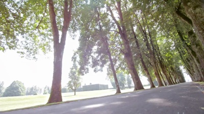 Sloo MO TS马车穿过公园