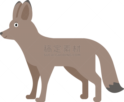 动物,狐狸,图标,扁平化设计,非洲,白色,可爱的,概念,性格,动物学