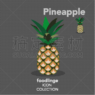水果,计算机图标,菠萝,色彩鲜艳,农业,蔬菜汁,果汁,熟的,榨汁机,果汁吧