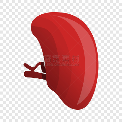 健康保健,时尚,计算机图标,脾脏,动画片,生物学,分离着色,肠内的,生病