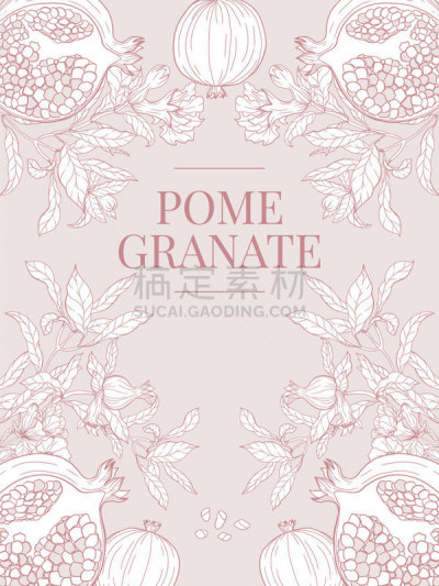 石榴,水果,绘画插图,植物学,素食,贺卡,清新,背景分离,花,复古