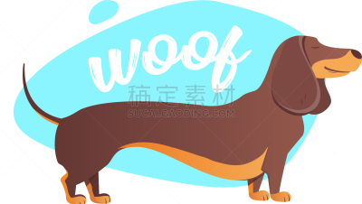 狗,腊肠犬,可爱的,亚洲,纯种犬,文字,黄金,概念,技能,图像