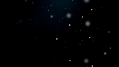 暗抽象粒子