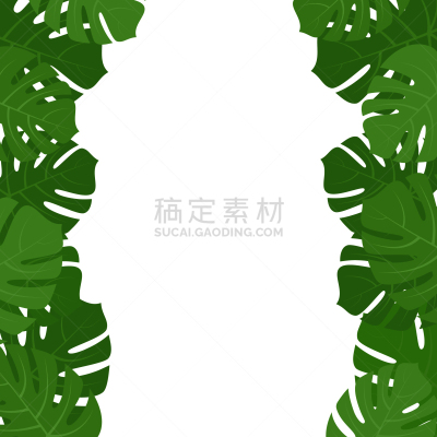 鸡尾酒,干酪藤,叶子,边框,分离着色,白色,自然,热带雨林,图像,离开