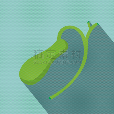 人,阴影,胆囊,生物学,健康保健,胞囊的,图像,胆汁,生病