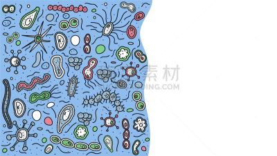 细菌,生物学,酸,微生物学,健康保健,植物群,枯草芽孢杆菌,草图