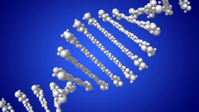 3D DNA代码(脱氧核糖核酸)