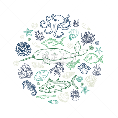 圆形,海洋,可爱的,水虎鱼,海星,动物,贝壳,珊瑚,草图,绘画插图