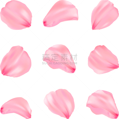 浪漫,粉色,花瓣,樱之花,美,壁纸,樱桃,婚礼,布置,爱