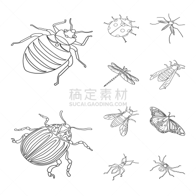 动物,昆虫,符号,野生动物,大黄蜂,甲虫,小的,蜂蜜,蚊子,蜘蛛