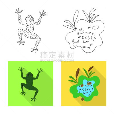野生动物,分离着色,藓沼,符号,一个物体,有毒物质,环境,青蛙,动物,布置