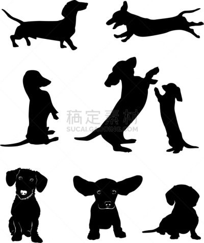 腊肠犬,轮廓,图像,狗,模板,漏字板,撒谎者,等,坐,睡觉