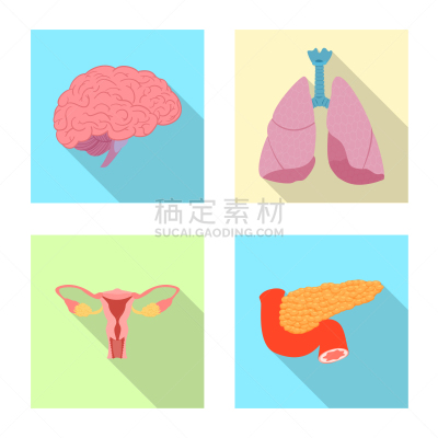 人,图标集,人类的生殖器官,卵巢,细支气管,内分泌系统,设计,生病