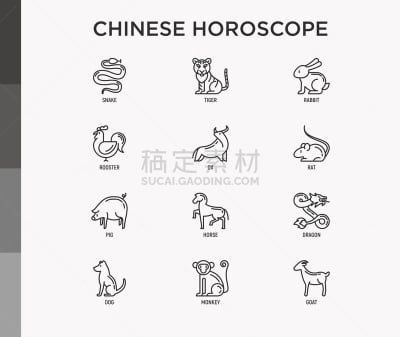 绘画插图,猴子,虎,龙,马,十二生肖,山羊,狗,矢量,细的