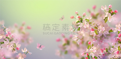 春天,樱桃树,白色,自然,华丽的,运动模糊,季节,粉色,浪漫