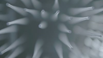 白色抽象颗粒