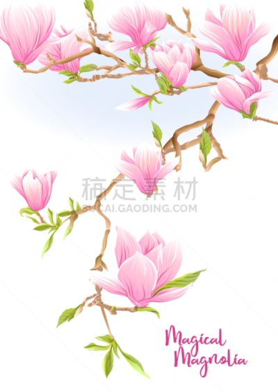 玉兰类,枝,商务,贺卡,清新,模板,春天,溢价,夏天,花