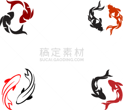 动物,鲤鱼,锦鲤,式样,鱼类,白色背景,传统,池塘,自然美