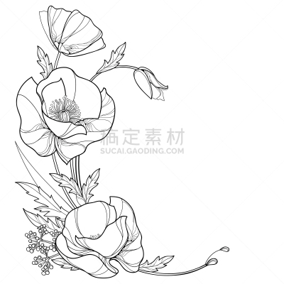 轮廓,开着的,花蕾,叶子,花束,矢量,黑色,角落,分离着色