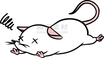 矢量,鼠,绘画插图,动物研究,科学实验,十二生肖,哺乳纲,动物,实验大白鼠,问号