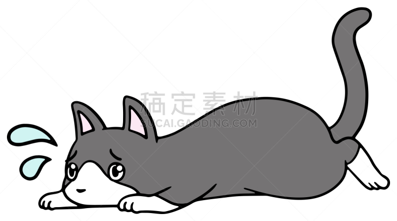 矢量,绘画插图,猫,惊骇,十二生肖,恐怖,简单,动物,宠物商店