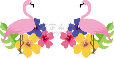 绘画插图,图像,南,非都市风光,饮料,热,太平洋岛屿,新婚夫妇,巨嘴鵎鵼,首里城