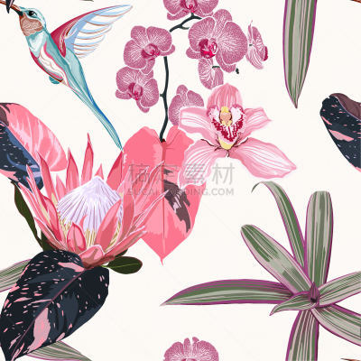 仅一朵花,绘画插图,叶子,矢量,大群动物,热带气候,鸡尾酒,白色背景,粉色,花纹