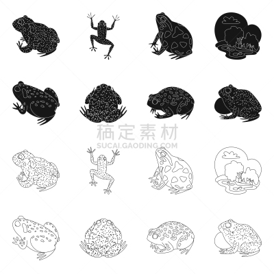 野生动物,标志,藓沼,舞台,式样,生物学,有毒物质,草,动物,牛蛙