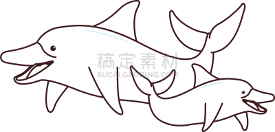 海豚,黑色,两只动物,可爱的,鸡尾酒,自然,野生动物,图像,相伴,游泳