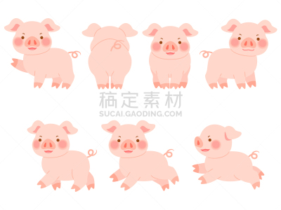 猪,方向,多样,绘画插图,舞台,侧面,简单,动物群,动物,吉祥物