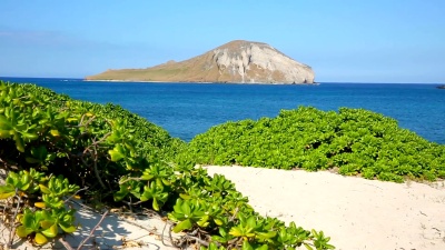 夏威夷瓦胡岛迎风的Makapuu海滩上的兔子岛