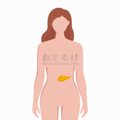 健康保健,女人,胰腺,扁平化设计,生物学,分离着色,信息图表,人,剪影