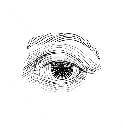 人的眼睛,草图,手,绘画插图,雕刻图像,白色背景,分离着色,秘密,线条,背景分离