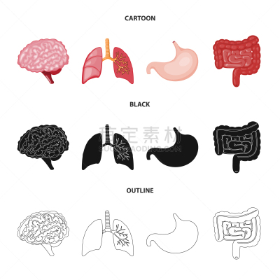 生物学,科学,分离着色,人造物,计算机图标,酸,健康保健,植物群,空肠,思考