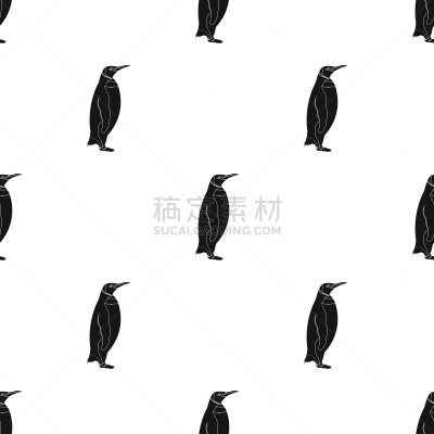 企鹅,海鸟,分离着色,自然,动物园,图像,海洋,小的,动物,鸟类