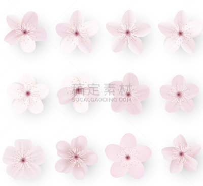 日本,樱之花,樱桃树,可爱的,樱桃,自然美,写实,花,剪影