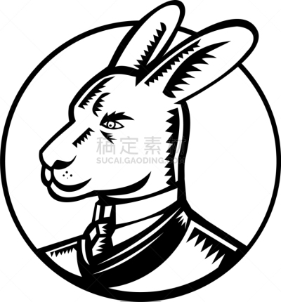 衣服,套装,袋鼠,圆形,木版画,商务,外套,图像,有袋亚纲,领带