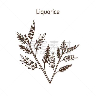 甘草糖,草药,分离着色,自然,香料,图像,植物群,糖果,茎,叶子
