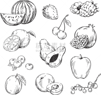 水果,多样,线条画,清新,食品,木瓜,熟的,西瓜,蓝莓,画画